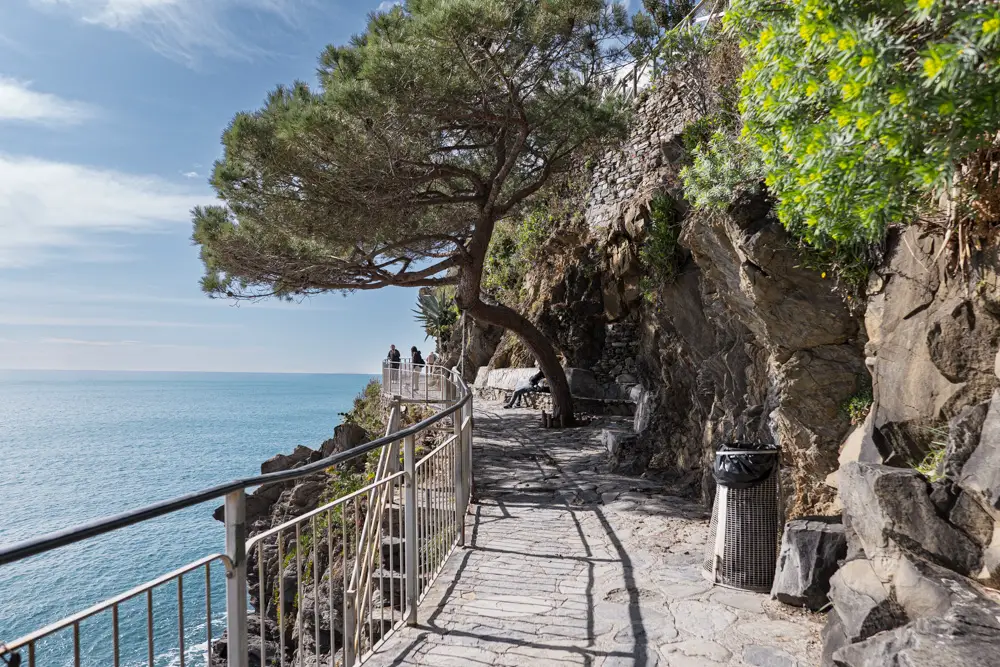 Manarola Italy walking path