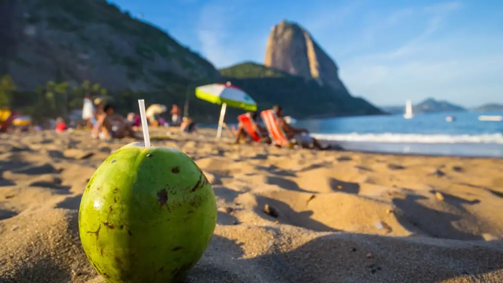 Coconut on beach in Rio De Janeiro